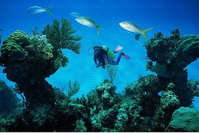 外媒评2023年单机游戏最佳DLC 《往日之影》等